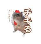 ふところさんとほそころさん2（個別スタンプ：22）