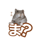 ふところさんとほそころさん2（個別スタンプ：23）