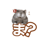 ふところさんとほそころさん2（個別スタンプ：24）