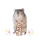 ふところさんとほそころさん2（個別スタンプ：26）