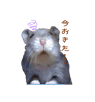ふところさんとほそころさん2（個別スタンプ：28）