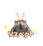 ふところさんとほそころさん2（個別スタンプ：32）