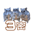 ふところさんとほそころさん2（個別スタンプ：33）