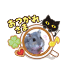 ふところさんとほそころさん2（個別スタンプ：35）
