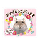 ふところさんとほそころさん2（個別スタンプ：36）