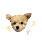 もちことこむぎでもちこむぎ（個別スタンプ：1）