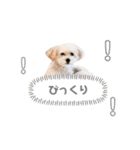もちことこむぎでもちこむぎ（個別スタンプ：2）