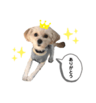 もちことこむぎでもちこむぎ（個別スタンプ：3）
