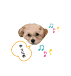 もちことこむぎでもちこむぎ（個別スタンプ：4）