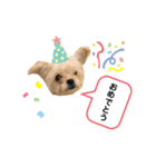 もちことこむぎでもちこむぎ（個別スタンプ：7）