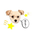 もちことこむぎでもちこむぎ（個別スタンプ：8）