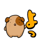 離れ目で丸っこい動物たち。（個別スタンプ：1）