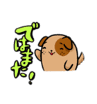 離れ目で丸っこい動物たち。（個別スタンプ：16）