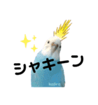 ♀こじろー3（個別スタンプ：1）