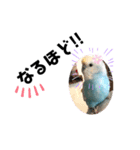 ♀こじろー3（個別スタンプ：2）