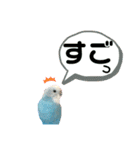 ♀こじろー3（個別スタンプ：5）