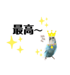 ♀こじろー3（個別スタンプ：7）
