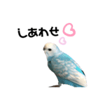 ♀こじろー3（個別スタンプ：9）