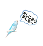 ♀こじろー3（個別スタンプ：13）