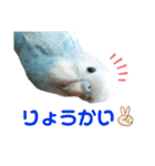 ♀こじろー3（個別スタンプ：15）