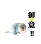 ♀こじろー3（個別スタンプ：18）