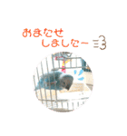 ♀こじろー3（個別スタンプ：29）