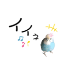 ♀こじろー3（個別スタンプ：32）