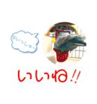 ♀こじろー3（個別スタンプ：33）