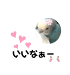 ♀こじろー3（個別スタンプ：34）