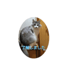 こた＆らん（個別スタンプ：4）