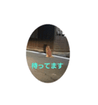 こた＆らん（個別スタンプ：6）