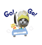 こた＆らん（個別スタンプ：8）
