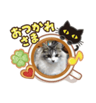 虎太＆蘭丸（個別スタンプ：2）
