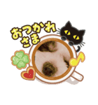 LaLa実写版（個別スタンプ：4）