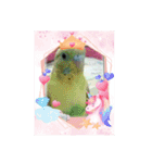 もるかちゃんファミリー（個別スタンプ：3）