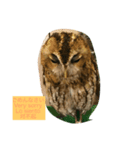 フクロウ一家だんらんトーク（個別スタンプ：6）