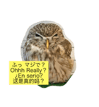 フクロウ一家だんらんトーク（個別スタンプ：8）