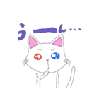 白猫日常スタンプ（個別スタンプ：10）