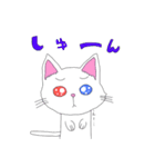 白猫日常スタンプ（個別スタンプ：13）