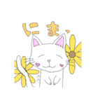 白猫日常スタンプ（個別スタンプ：16）