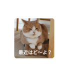 ぷっちゃん＆いよちゃん ②（個別スタンプ：4）