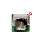 Mダックス★リル＆ハルスタンプ5★四角ver.（個別スタンプ：26）