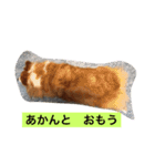 ひめの毎日（個別スタンプ：5）