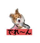 ひめの毎日（個別スタンプ：6）