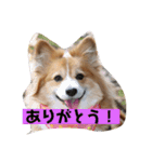 ひめの毎日（個別スタンプ：8）