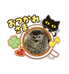つんつん★（個別スタンプ：1）