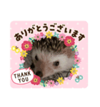 つんつん★（個別スタンプ：2）