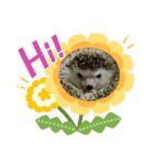つんつん★（個別スタンプ：8）