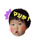 こんにちはうたさん3（個別スタンプ：1）