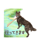 甲斐犬のカイくん★（個別スタンプ：7）